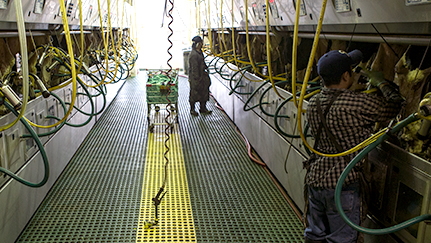 Steps in attracting and maintaining farm employees