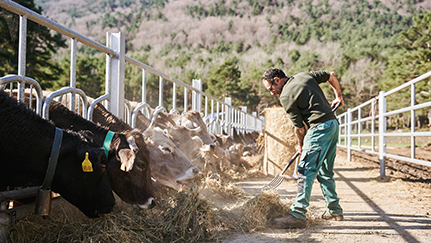 How market consolidation impacts small farms