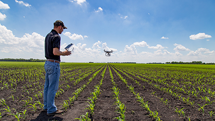 Low-cost ways small farms can lean into technology