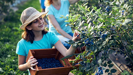 Strategies to position your small farm for the future