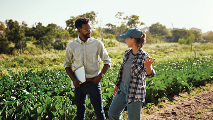 Farmland leases: What you need to know