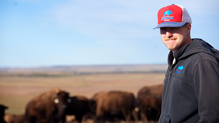 From cattle to bison: How Dakota Pure Bison is redefining ranching