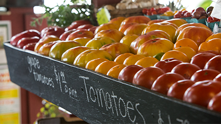 What to think about in growing your farm or ranch through diversification