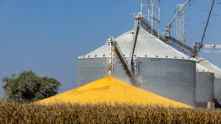 Navigating the dangers of high-volume grain storage