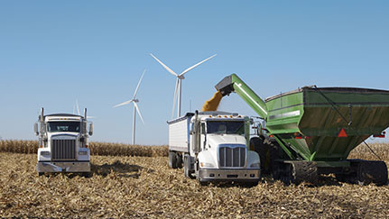Harvest strategies for managing grain quality, safety risks and storage challenges