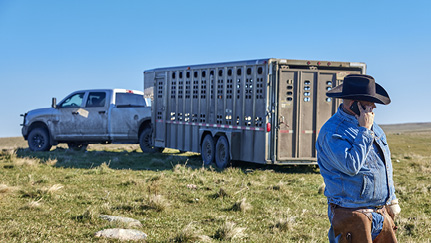 Farm auto insurance