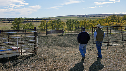 Farm pens and sheds insurance