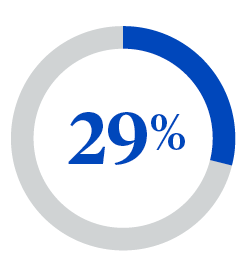 Circle chart showing 29%