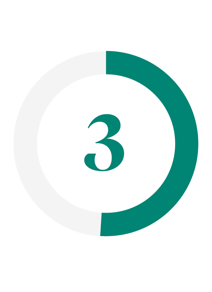 Step 3 icon
