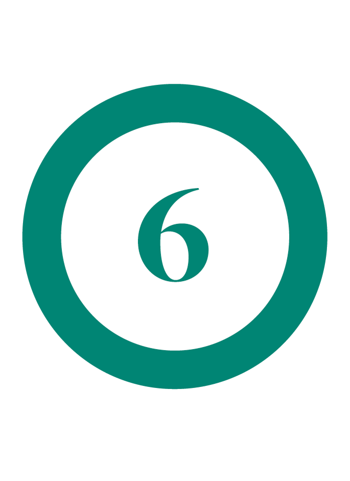 Step 6 icon