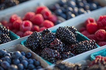 /staticassets/rtc-one-column-berry-packages_10279_7460_tcm108-18667.jpg