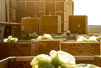 /staticassets/rtc-one-column-man-large-almond-crates_10256_6539_tcm108-18123.jpg