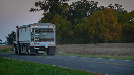 Distracted Driving Month: Reducing road risks through action